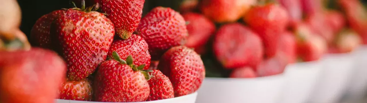 jesus-boscan-dCZ07W3zmiY-unsplash