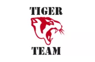 Tiger team