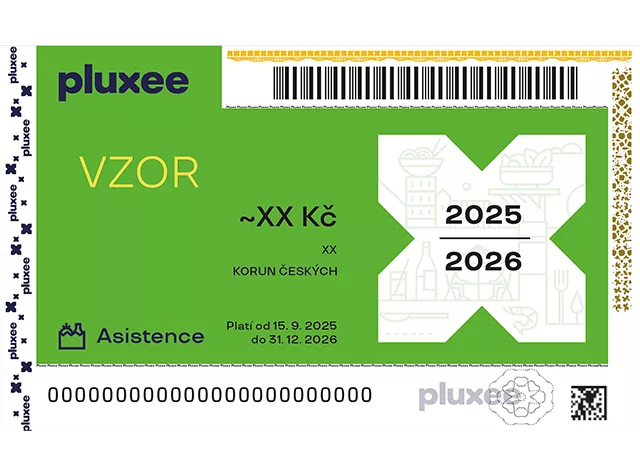Vzor poukázky Asistence