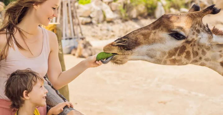 Kultura a vzdělávání 