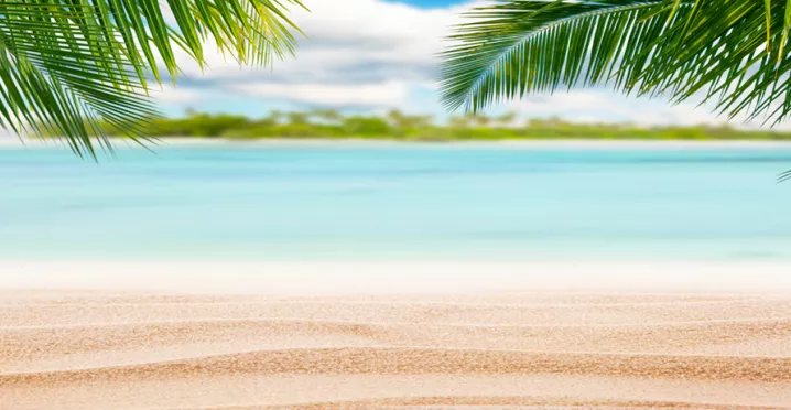 pláž moře palmy