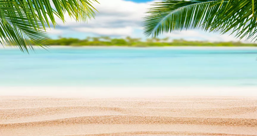 pláž moře palmy