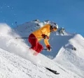 lyže