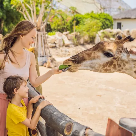 Kultura a vzdělávání 